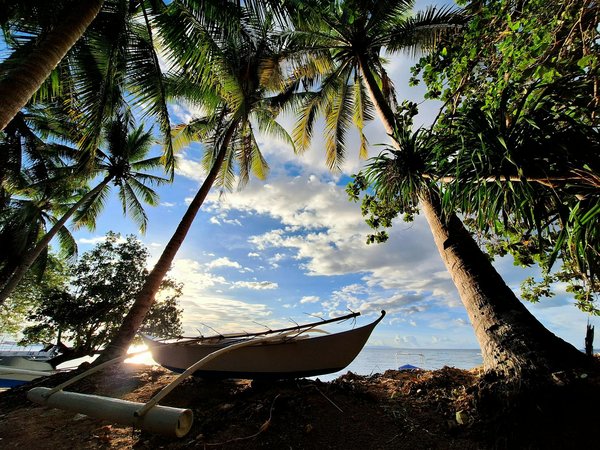 Évasions magiques pour des vacances mémorables et exceptionnelles